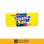 Cleansup Sponge 3s'